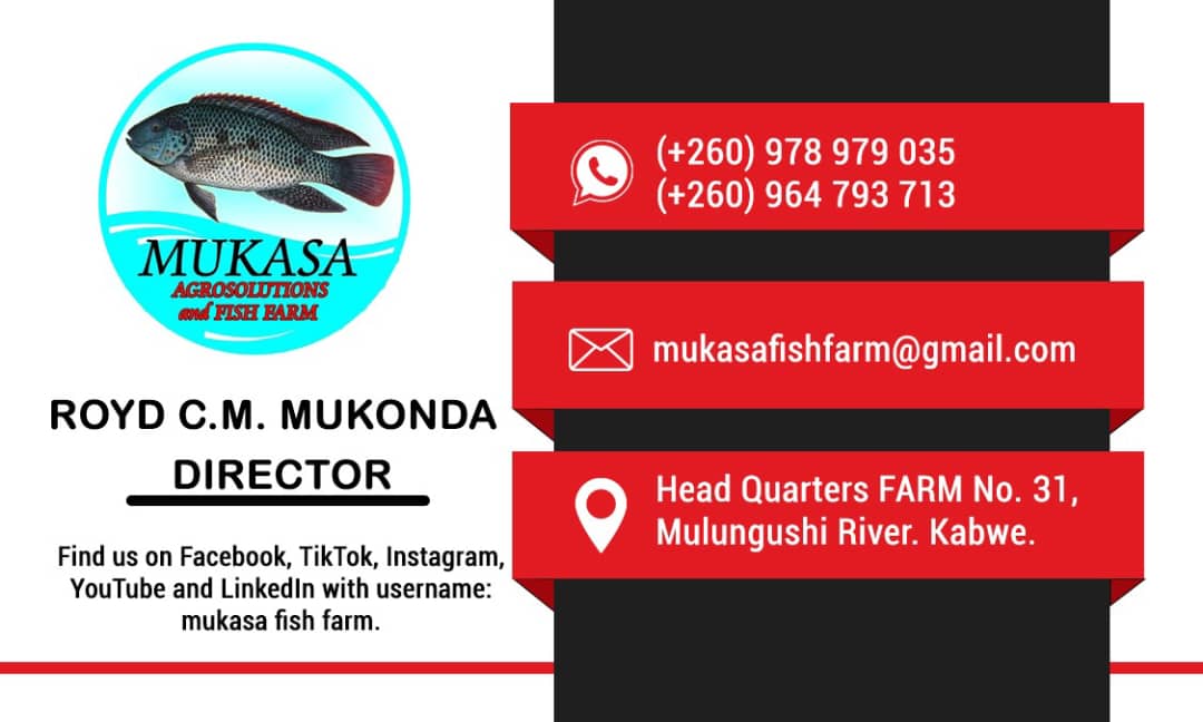 business-card Example 1